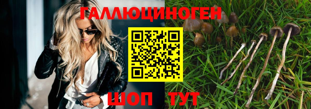 Псилоцибиновые грибы мицелий  Псилоцибиновые грибы MAGIC MUSHROOMS  Ессентуки  Вход с VPN 